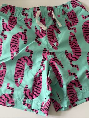 Hanna Andersson Boys Swim Bottoms - Mint Green & Hot Pink Zebra